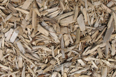 biomass boilers Balmacqueen